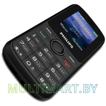 Мобильный телефон Philips Xenium E2101 (черный) картинка 4